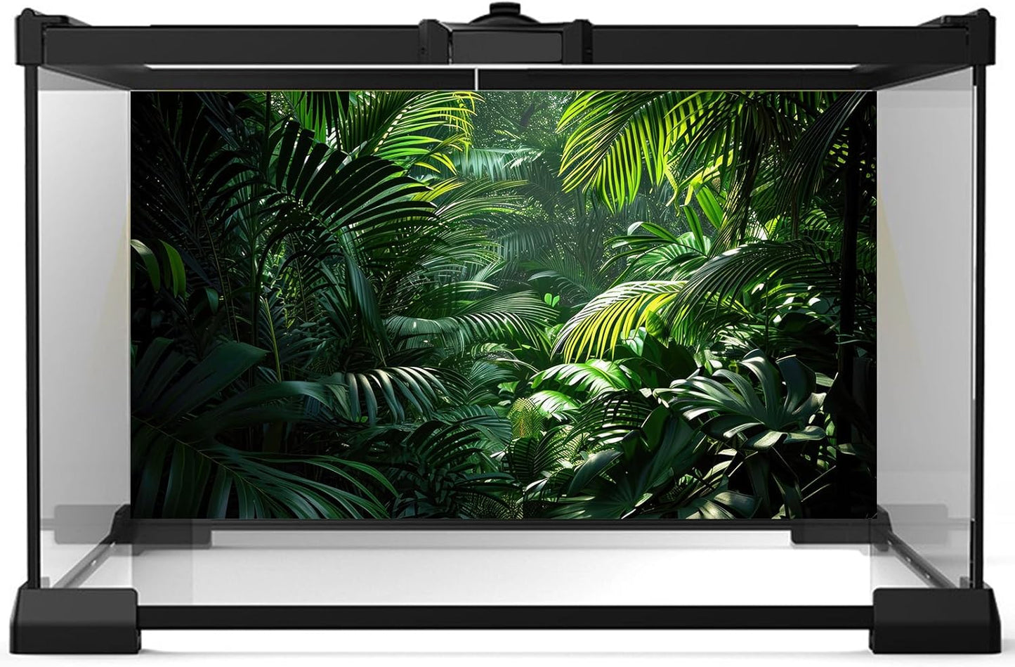 Aquarium Background Enchanting Beauty of Jungle Terrarium Backdrop Nature Jungle Green Leaf Palms Fish Tank Background Reptile Habitat Backdrop Wallpaper Poster Decor Vinyl 60x24in