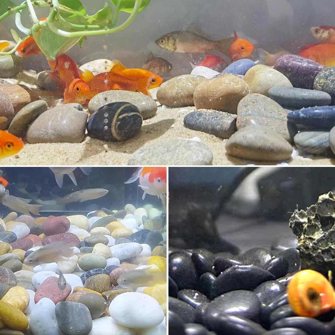 40lbs Large River Rocks for Landscaping, 3-4" White Pebbles for Garden Design, Hand-Picked Smooth Stones for Fish Tank, Flower Pots, Indoor Water Fountains, Pathways, Backyard