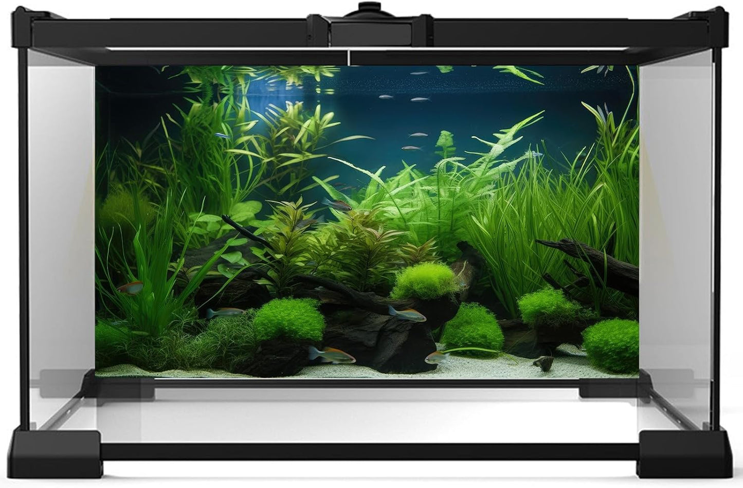 Aquarium Background Diverse Collection of Aquatic Plants Seagrasses Terrarium Background Redwood Root Moss Tropical Style Underwater Plants Fish Tank Background Under The Sea Aquarium Backdrop 48x18in