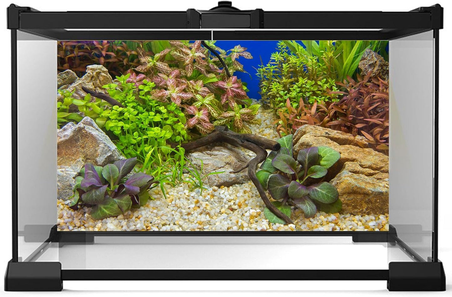 Fish Tank Background Various Underwater Grass Plants Pebble Aquarium Background Vivid Fresh Green Aquatic Plants Stone River Terrarium Backdrop Dead Wood Purple Leaves Tank Background 48x24in