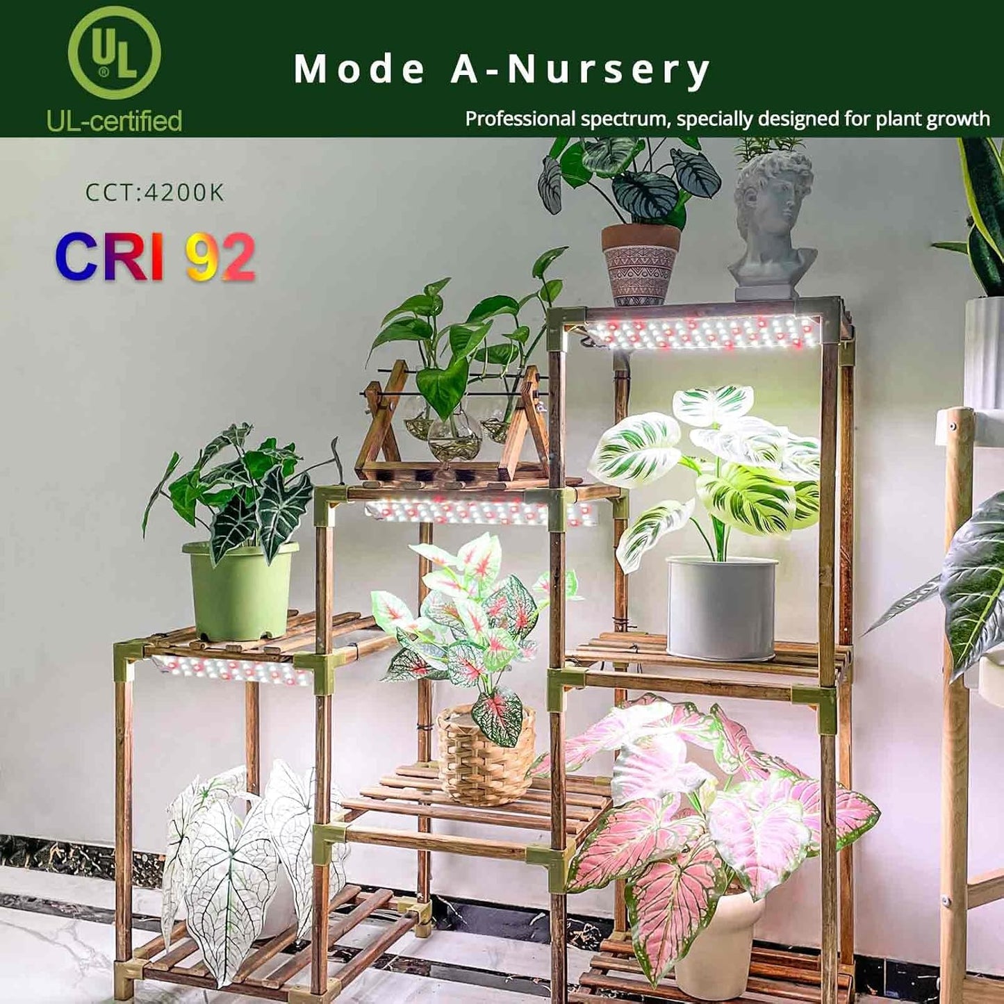 LED Grow Lights, Dimmable Plant Lights for Indoor Growing in Winter Full Spectrum, Ultra Thin Plant Grow Lights with 6/12/16H Timer, 3 Spectral Modes Grow Light Panel for Gardening, Houseplants
