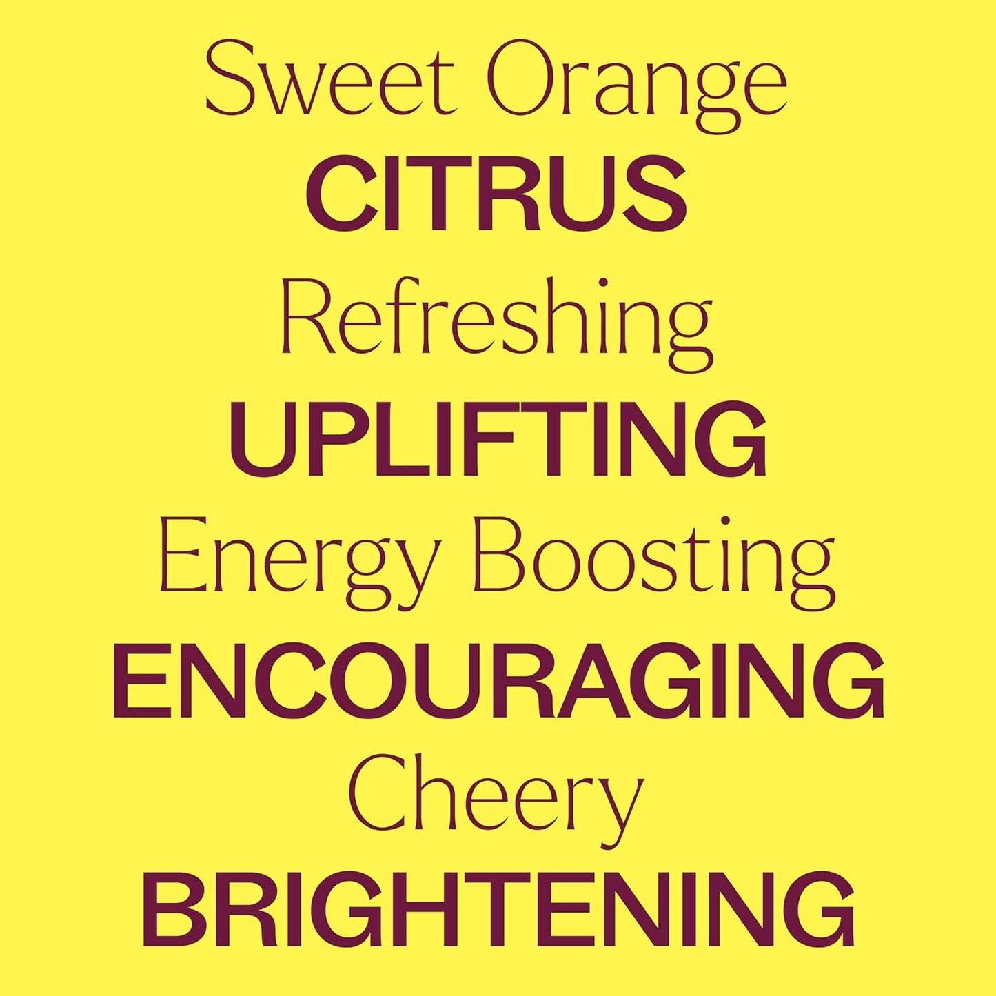 Plant Therapy Sweet Orange Organic Essential Oil 100% Pure, USDA Certified Organic, Undiluted, Natural Aromatherapy, Therapeutic Grade 10 mL (1/3 oz)