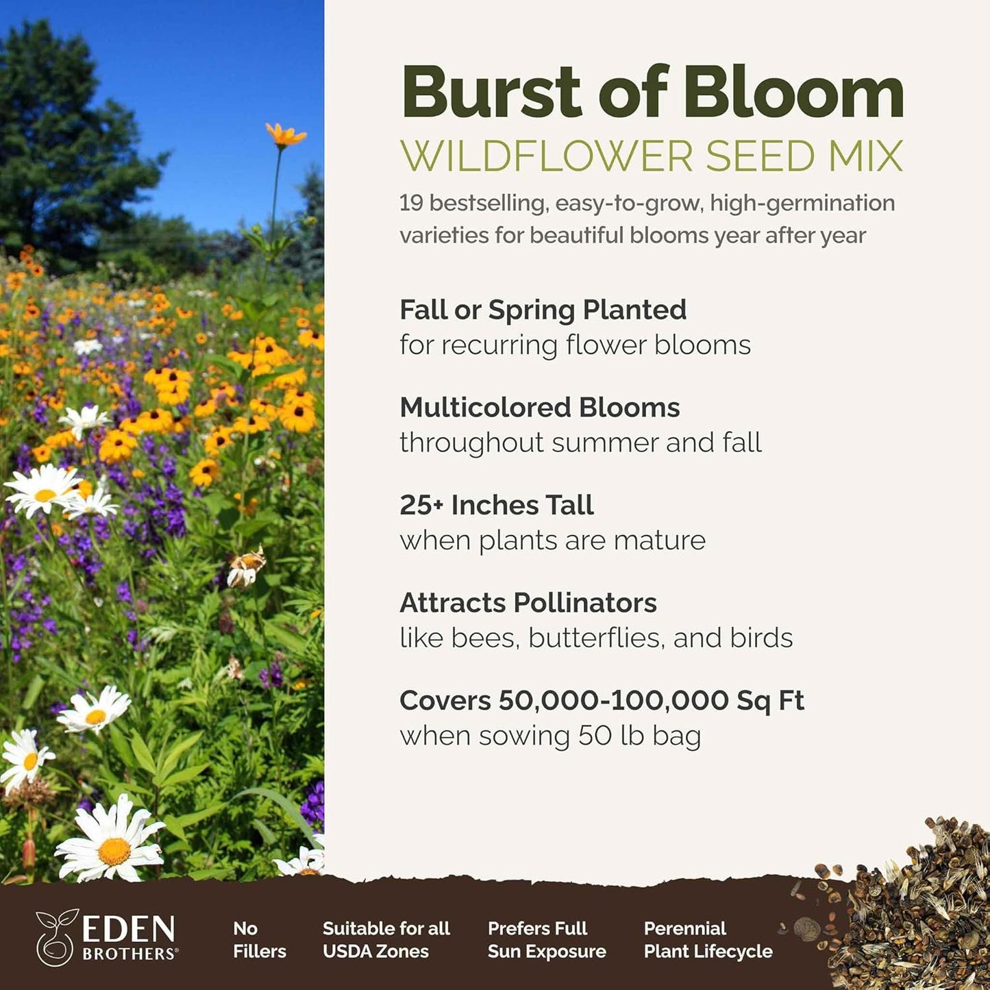Eden Brothers Burst of Bloom Wildflower Mixed Seeds for Planting, 50 lb, 24,000,000+ Seeds with Cosmos, Black Eyed Susan | Attracts Pollinators, Plant in Spring or Fall, Zones 3, 4, 5, 6, 7, 8, 9, 10