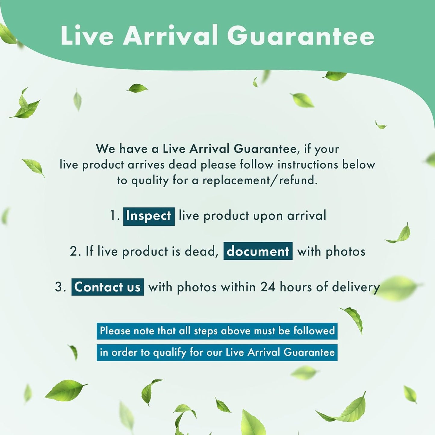 Anubias Live Aquarium Plants - Potted Freshwater Plant for Fish Tanks, Terrariums - Beginner Friendly Low Light (Barteri Butterfly, 1 Pot)