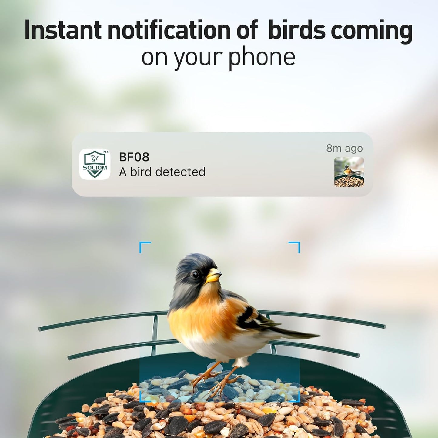 SOLIOM Solar Bird Feeder with Camera for Outdoors - AI Smart Birdhouse, 2K Live View & Instant Alerts, Squirrel Proof - Perfect Bird Watching Gift (Red)