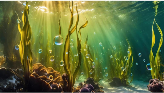 Aquarium Background Underwater Beautiful Coral Reef with Seaweed Bubbles Terrarium Backdrop Aquatic Plants Sunlight Rays Fish Tank Background Tank Aquarium Wallpaper Poster Decor Vinyl 48x18in