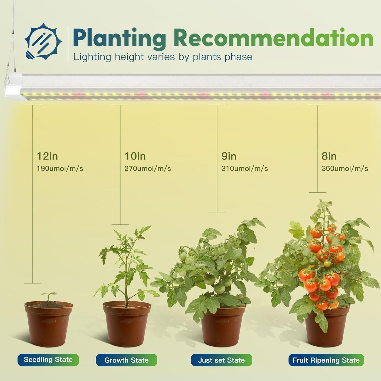 FREELICHT 1 Pack 4FT LED Grow Light with Timer, 40W (250W Equivalent), Full Spectrum Grow Lights for Indoor Plants with 9/12/15H Timer, Linkable Plant Growing Lamp for Hydroponic Plants Seeding Veg