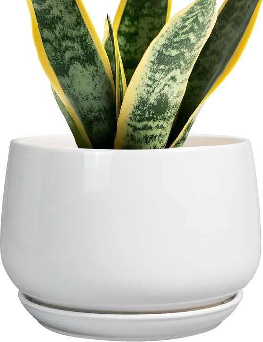 G EPGardening Ceramic Pots for Plants - 7 Inch Planter for Indoor Plants, Round Flower Pots with Drainage and Saucer, Modern Outdoor Planter, Garden Decor, Home Gifts, White