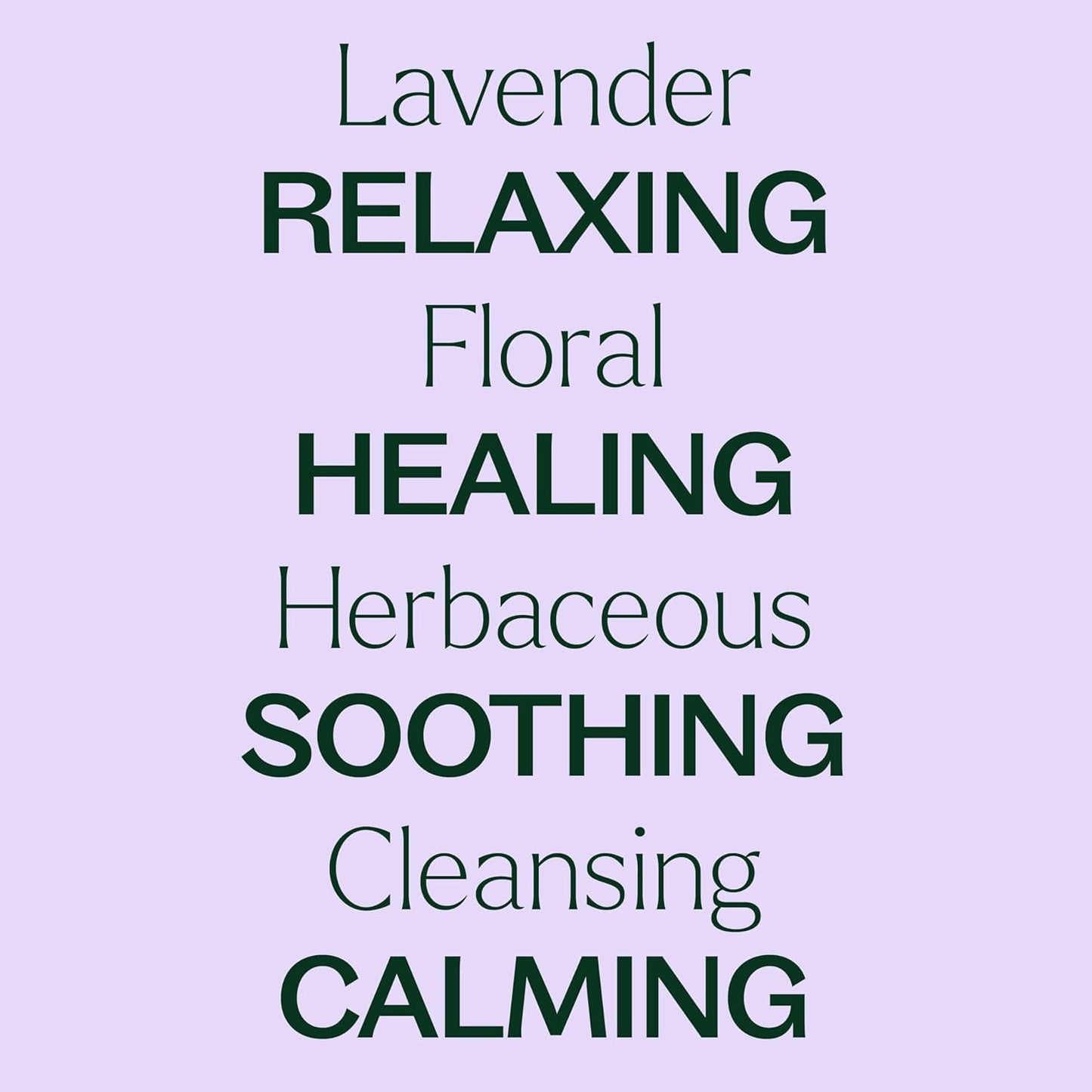 Plant Therapy Lavender Essential Oil 100% Pure, Undiluted, Therapeutic Grade, Aromatherapy Diffuser for Relaxation and Body Care, Healthy Skin and Hair, 10 mL (1/3 oz)