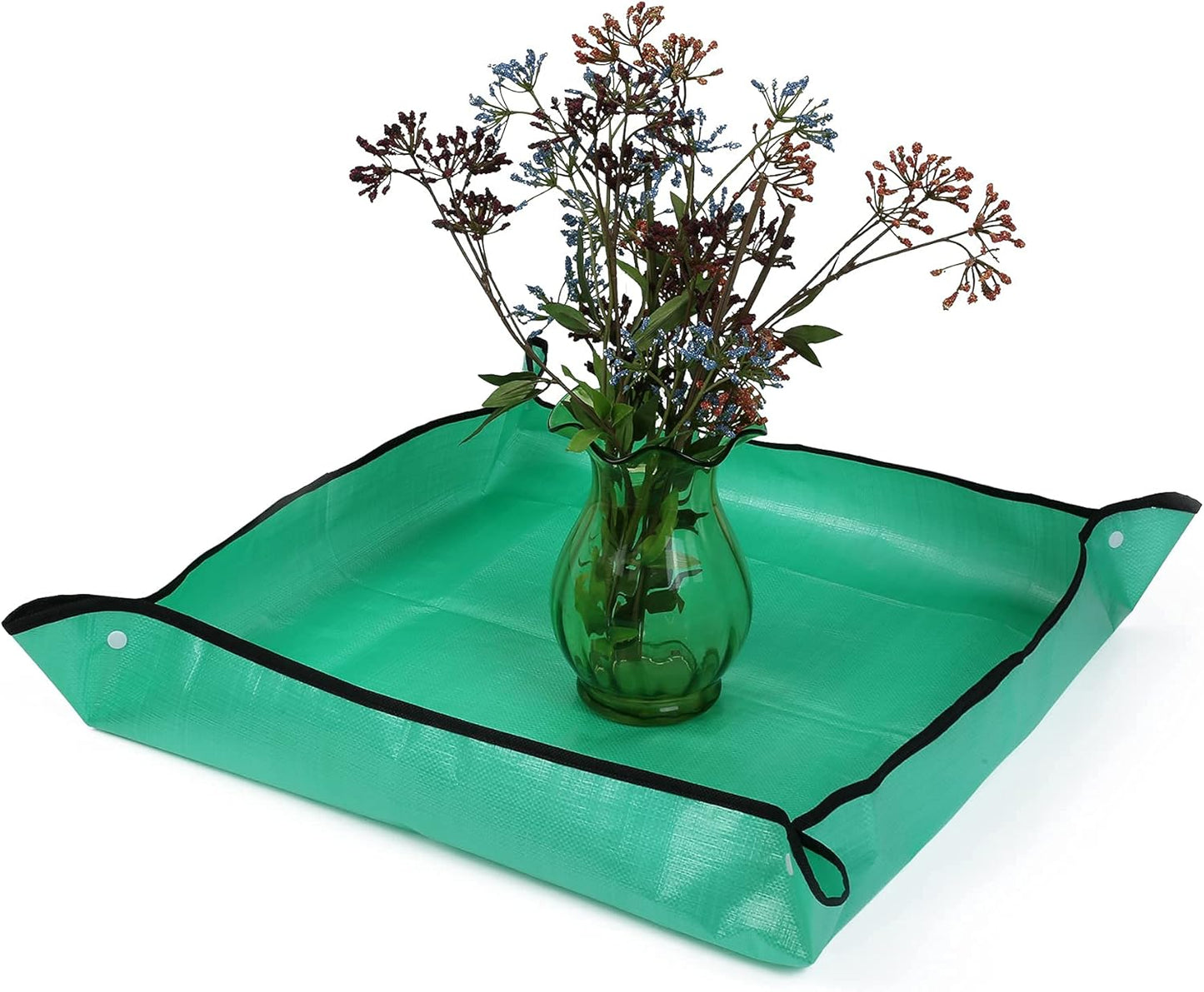 Butterfly Habitat with Poo Platter, Cage with Poo Mat, Monarch Butterfly Cage 24 Inches Tall