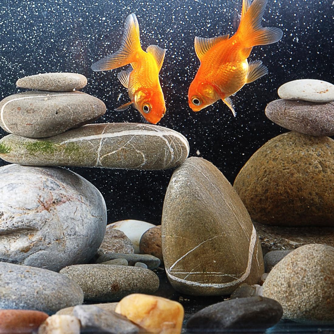20lbs Natural River Rocks, 2"-3" Premium Pebbles for Garden and Landscape Design, Hand-Picked Smooth Stones for Fish Tank, Flower Pots, Indoor Water Fountains, Pathways, Backyard