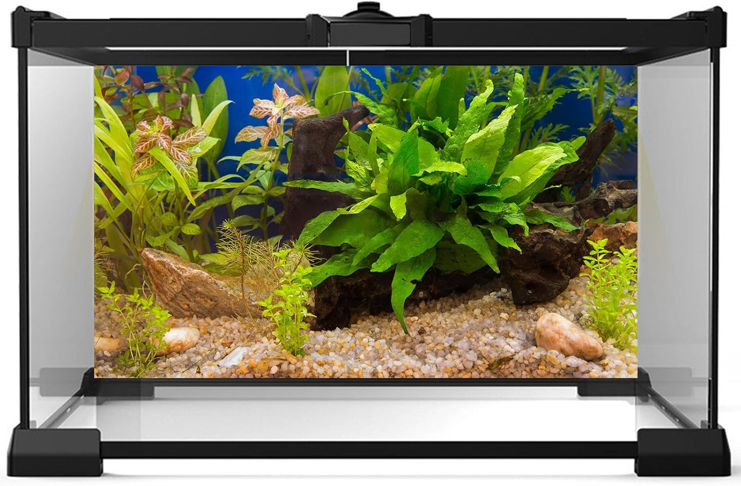 Aquarium Backdrop Underwater Grass Leaves Pebble Aquarium Background Vivid and Fresh Green Aquatic Plant Stone River Bed Fish Dead Wood Leaves Tank Background Decors Vinyl 24x16in