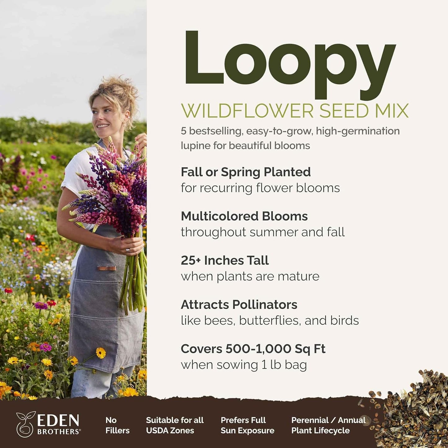 Eden Brothers Lupine Flower Mixed Seeds for Planting, 1 lb, 480,000+ Seeds with Russell, Arroyo, Yellow, Sky Lupine | Attracts Pollinators, Plant in Spring or Fall, Zones 3, 4, 5, 6, 7, 8, 9, 10