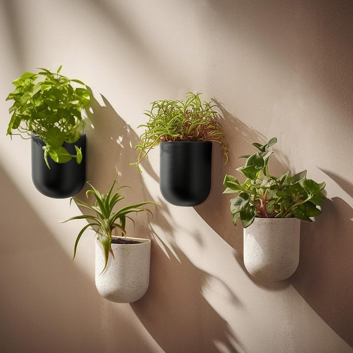 La Jolie Maison Wall Hanging Planters for Indoor Plants, Hanging Flower Pots for Air Plants Succulent, Set of 2, 6 Inch