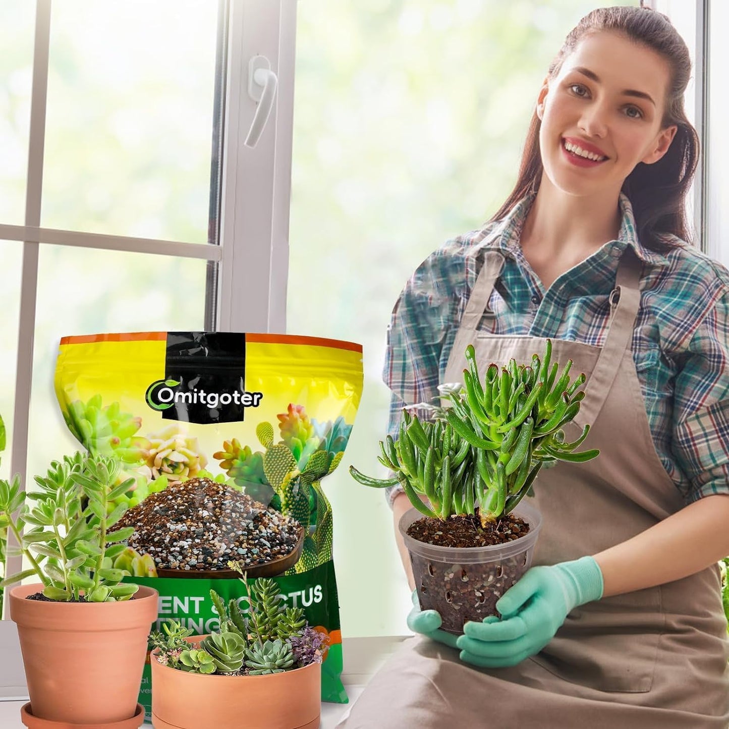 Succulent & Cactus Soil Potting Mix 2qt, Natural Organic Potting Mix for Cactus, Succulent, Palm, and Citrus Grown in Containers Indoors and Outdoors