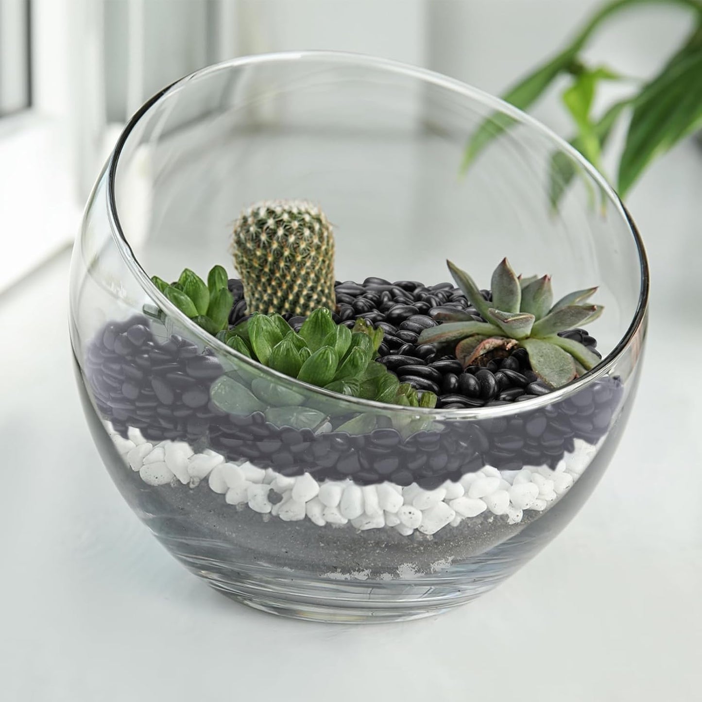 5 lbs Black Pebbles for Indoor Plants, Succulent, Bamboo, Vase, 3/8" Plant Rocks for Pots Indoor, Small River Rocks Decorative Pea Gravel, Highly Polished