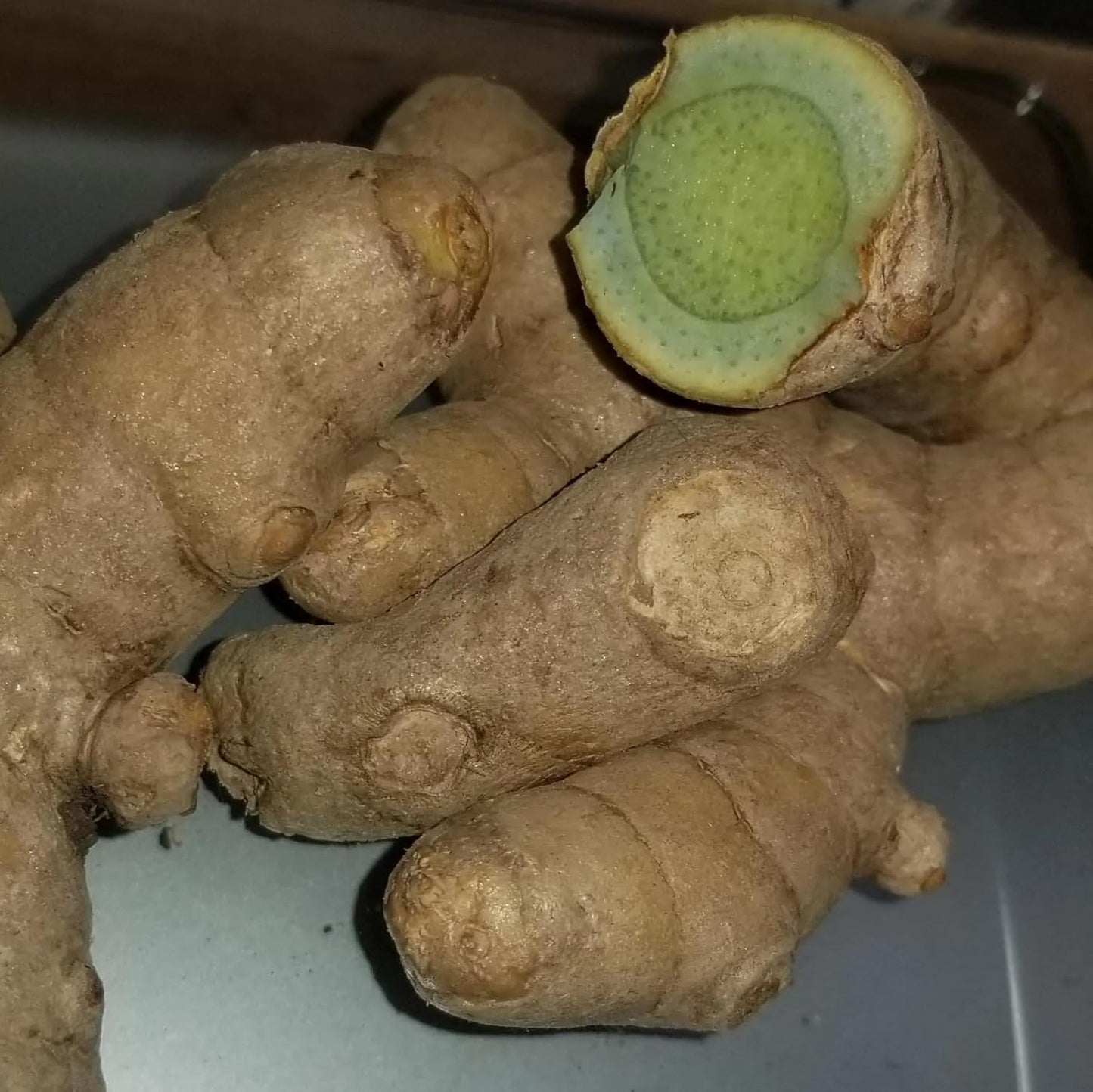 Green Turmeric Live Plant - (Curcuma aeruginosa) - Rare Medicinal Herb, Vibrant Pink Flowers, Ideal for Tropical Gardens (4 Green Turmeric Bags)