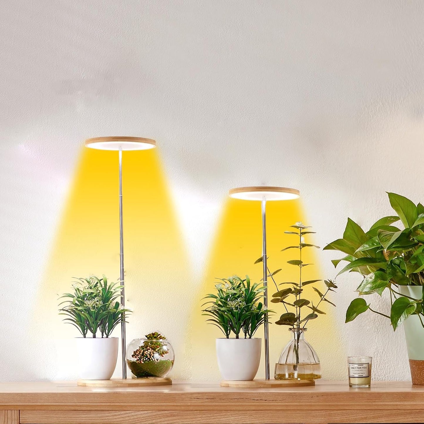 Plant Grow Light for Indoor Plant,Bamboo Mini LED Grow Light Garden,Height Adjustable,Automatic Timer with 8/12/16 Hours
