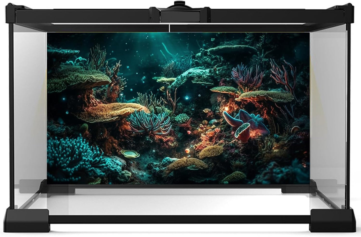 Aquarium Background Colorful Picturesque Coral Reef Terrarium Background Tropical Sea Various Hard Corals Underwater Landscape Fish Tank Backdrop Aquarium Poster Background Vinyl 48x18in