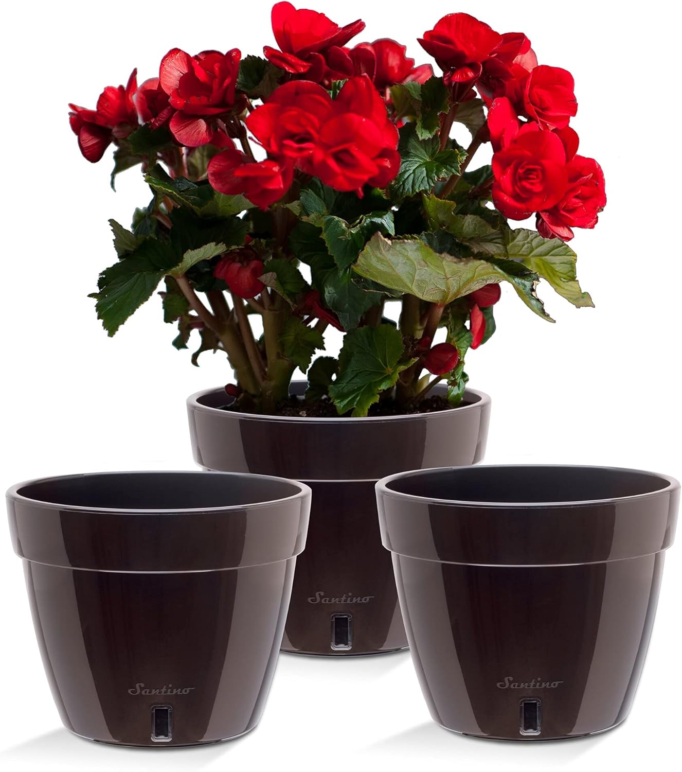 Santino ASTI 10.6 Inch Self Watering Planter Black-Gold/Black (Set of 3) for Indoor Plants - Premium Quality Modern Plastic Pot w/Water Level Indicator for House Plants, African Violets and Dahlias