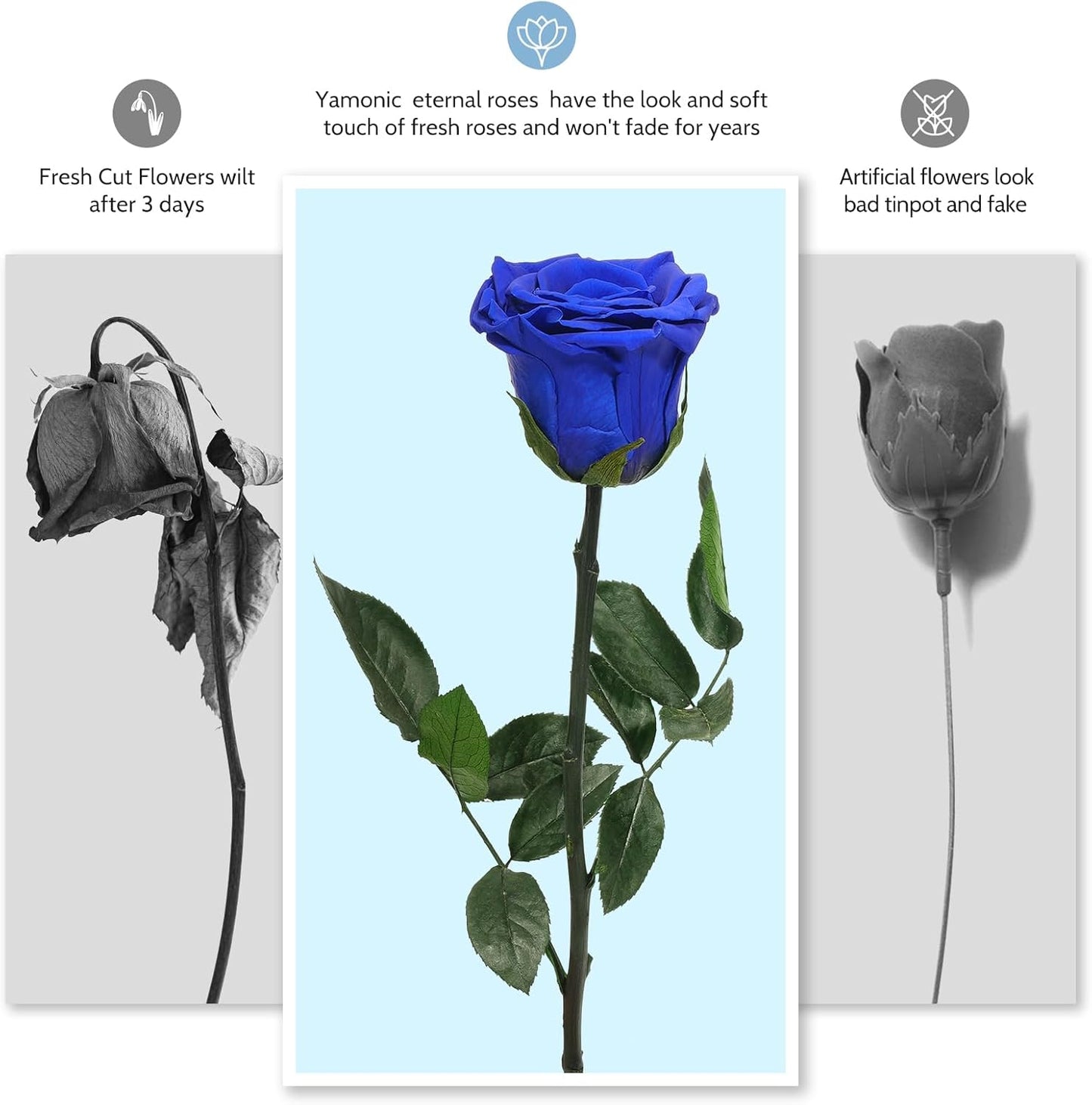 Yamonic Preserved Flowers Rose Gifts for Women Mom, Mothers Day Flowers Gifts for Mom, Real Flower Rose Birthday Gifts for Her, Grandma, Wife,Girlfriend Gifts on Christmas,Valentine's Day,Anniversary