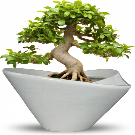 Bonsai Pots 13 Inch - Ceramic Succulent Pots with Drainage Hole Decorative Plant Pot Indoor Large Outdoor Planter Modern Flower Pot for Home Garden Office Room Decor Gray