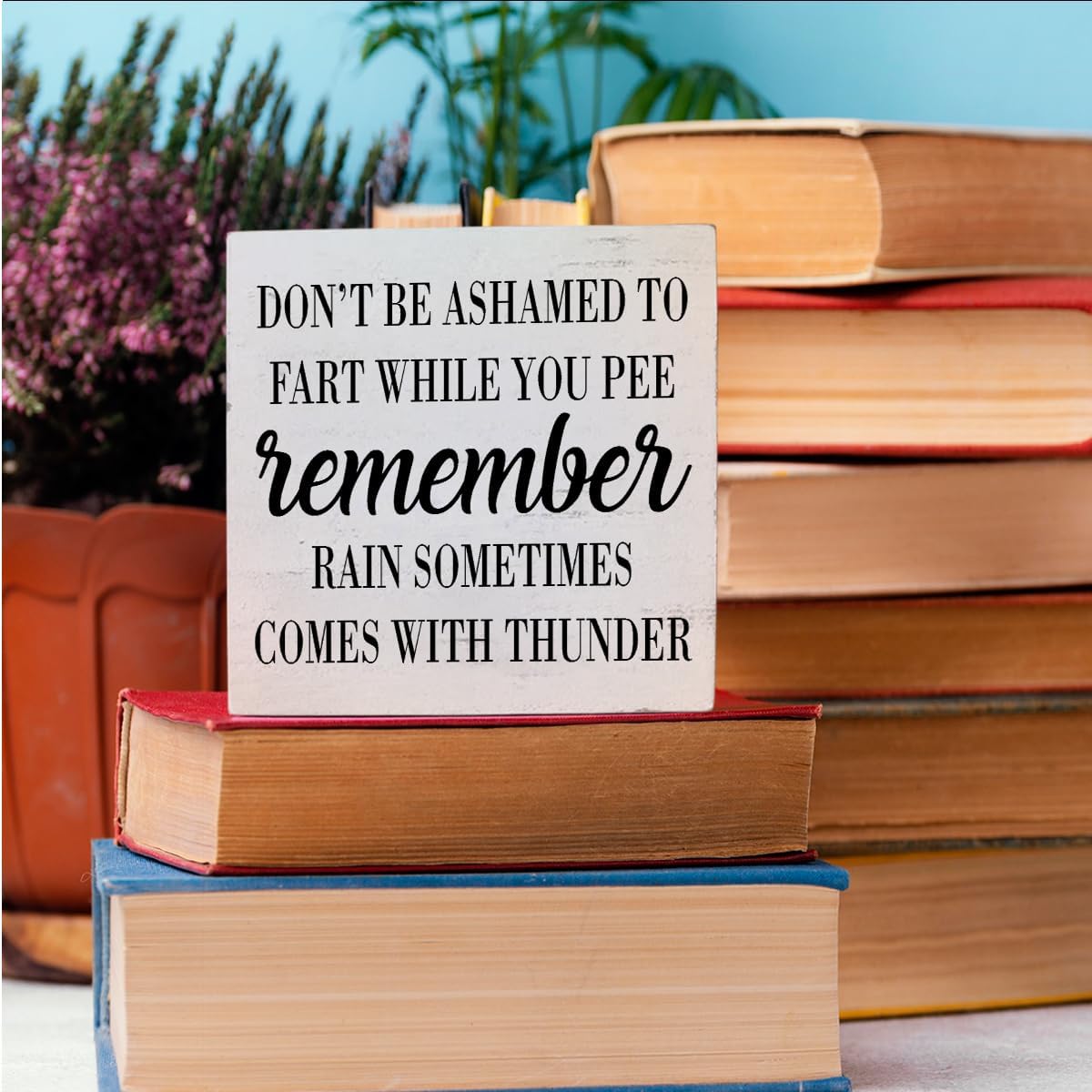HTBIG Funny Bathroom Decor Desk Decor Wooden Box Sign Rustic White Wood White Plaque Box Sign for Home Farmhouse Bar Toilet Washroom Shelf Table Decoration Don't be Ashamed to Fart While Peeing Sign