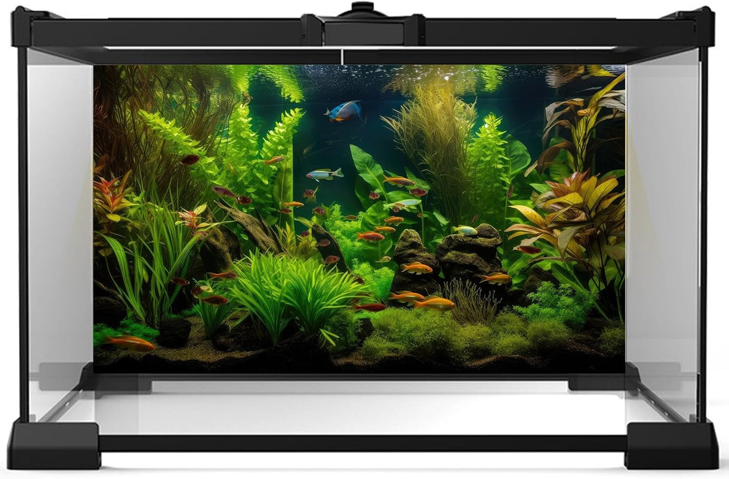 Aquarium Background Tropical Freshwater Colorful Fish Plants Fish Tank Background Tranquil Under The Sea Aquatic Plants Cork Redwood Root Lush Green Moss Reptile Tank Terrarium Background 36x24in