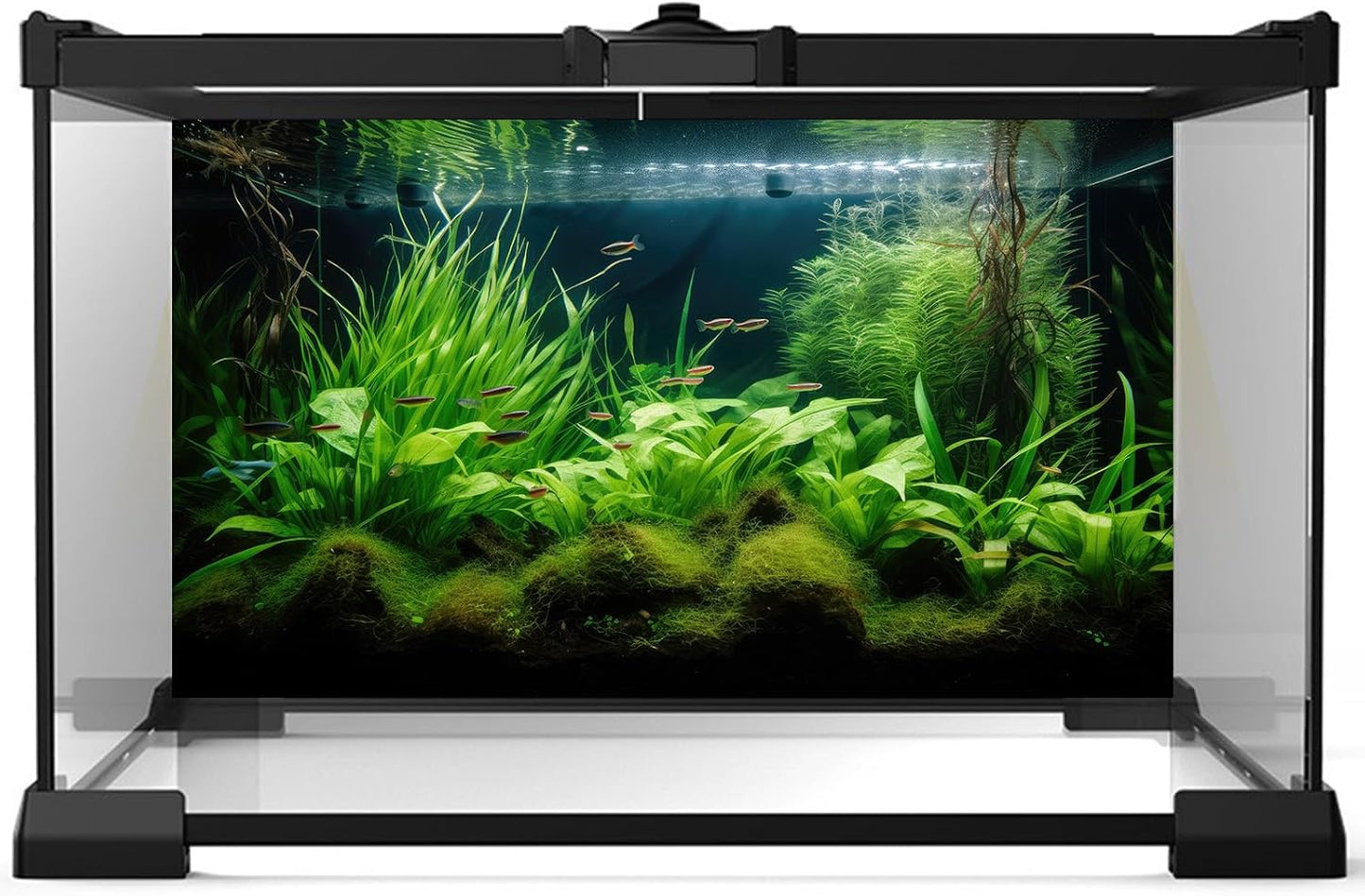 Aquarium Background Diverse Aquatic Plants Seagrasses Terrarium Background Redwood Root Lush Green Underwater Plants Tropical Style Fish Tank Background Under The Sea Aquarium Backdrop Vinyl 30x18in