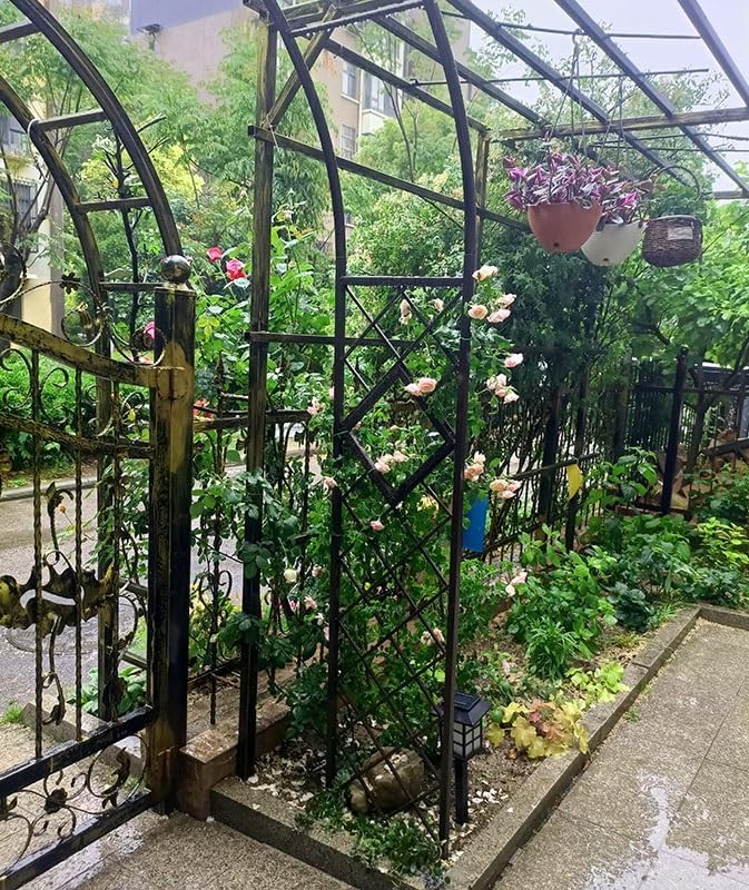 Heavy Duty Steel Garden Arbor & Trellis Arch for Grape Vines Climbing Plants Pergola Outdoor Theme Decoration Archway 180cm 260cm 340cm 140cm (Color : Black, Size : 87" W x 91" H)
