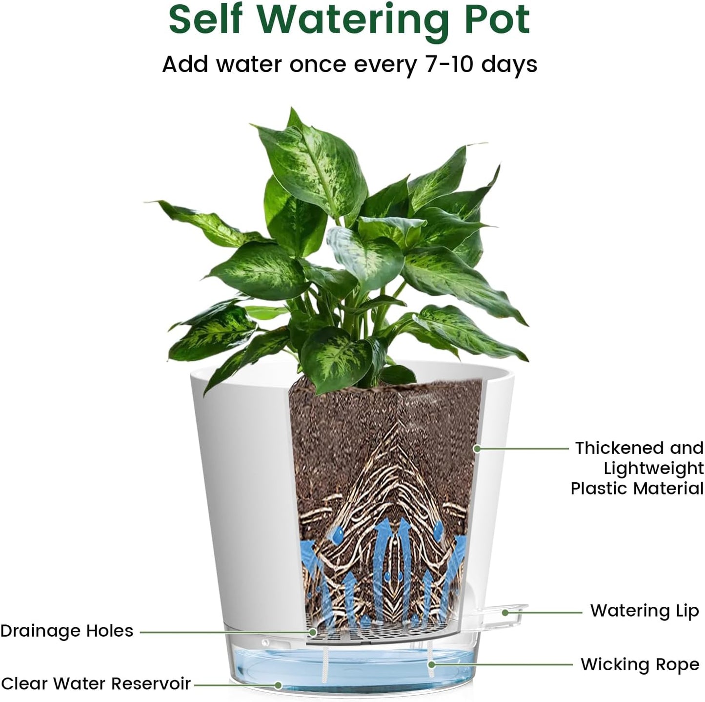 6 inch Self Watering Pots for Indoor Outdoor Plants, 3 Pack Flower Plant Pots with Drainage Holes and Clear Reservoirs, Visible Water Level, Plastic Planters with Wicking Rope, White