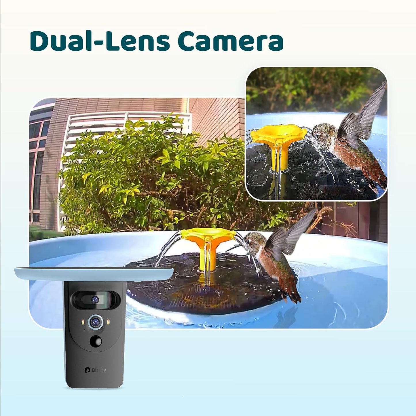 Birdfy Smart Bird Bath with Camera Solar Powered & Fountain & Stand, Dual-Lens Camera for Wildbird Watching, Auto Capture Bird Videos & Motion Detection - AI Lifetime Version