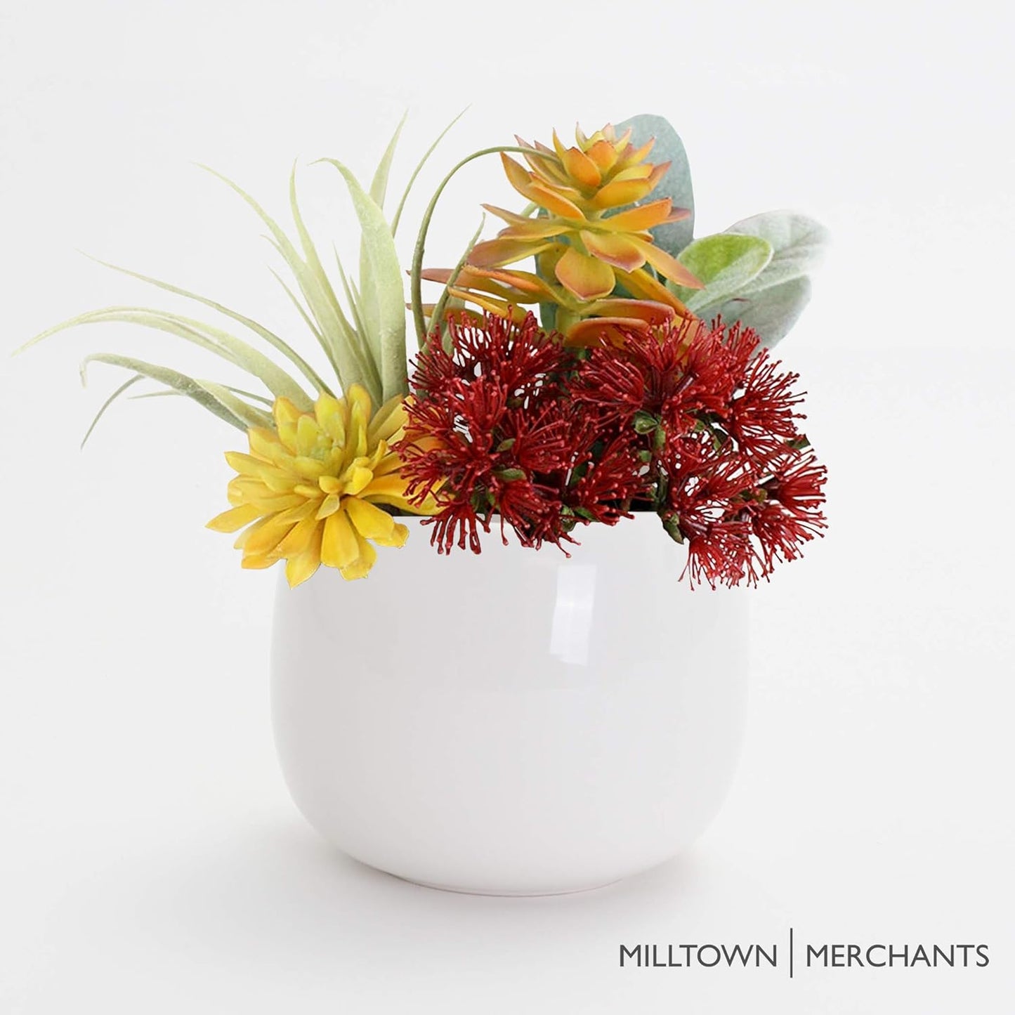 Milltown Merchants Succulent Wall Planters - Wall Vases - White Ceramic Wall Mounted Planters - Succulent Plant Pots - Hanging Vases for Living Wall (1 Pack/Modern/White)