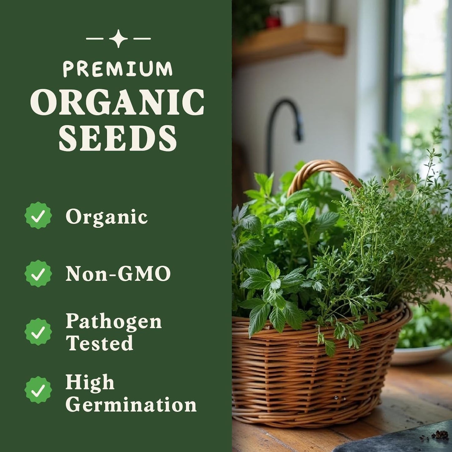 Seedboy Organic 5 Herb Variety Pack: Basil, Mint, Rosemary, Parsley, Cilantro for Planting Indoor and Outdoor, Non-GMO and USDA Certified Seed Packets (5 Herb Variety Pack)