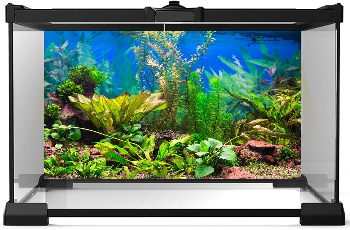 Aquarium Background Various Underwater Grass Plants Aquarium Backdrop Vivid and Fresh Green Aquatic Plants Stone River Bed and Dead Wood Purple Stone Fish Tank Background 72x16in