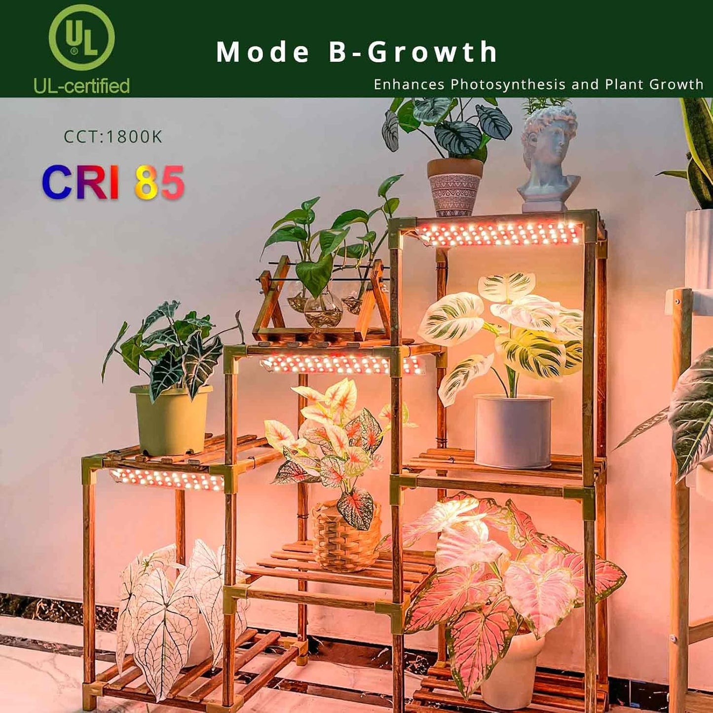 LED Grow Lights, Dimmable Plant Lights for Indoor Growing in Winter Full Spectrum, Ultra Thin Plant Grow Lights with 6/12/16H Timer, 3 Spectral Modes Grow Light Panel for Gardening, Houseplants