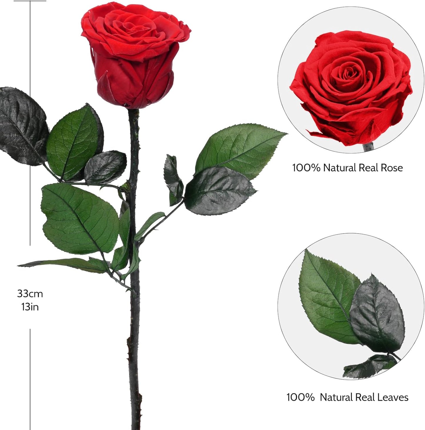 Yamonic Preserved Flowers Rose Gifts for Mom, Grandma, Women - Real Flower Rose Gifts for Mom, Her, Wife, Girlfriend on Christmas, Valentine's Day, Anniversary, Home Decor