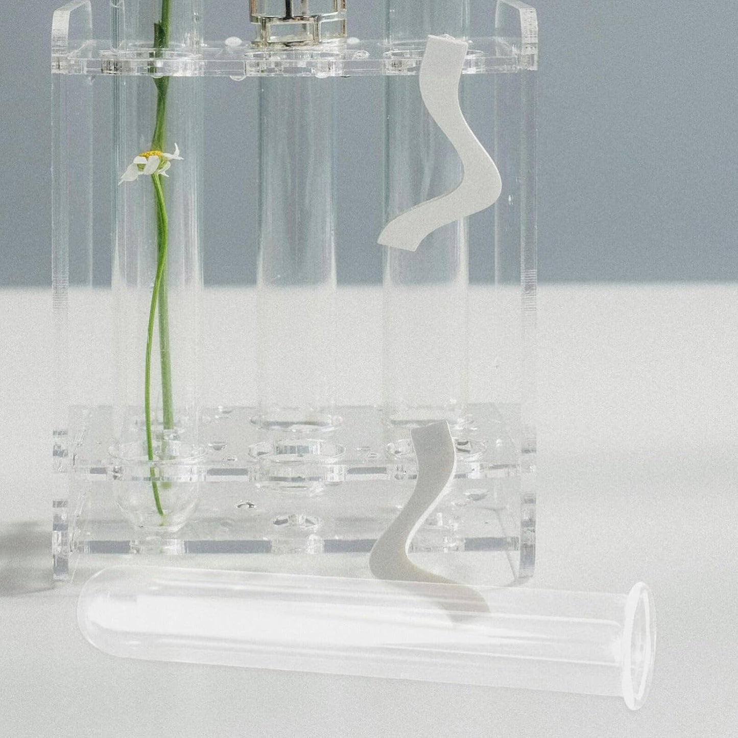 Alipis 4pcs Glass Propagation Stations Accessories Glass Test Tubes Tiered Planters Wall Terrarium for Home Office Plant Hanger Flower Vases Wall Decor Hydroponic Cuttings