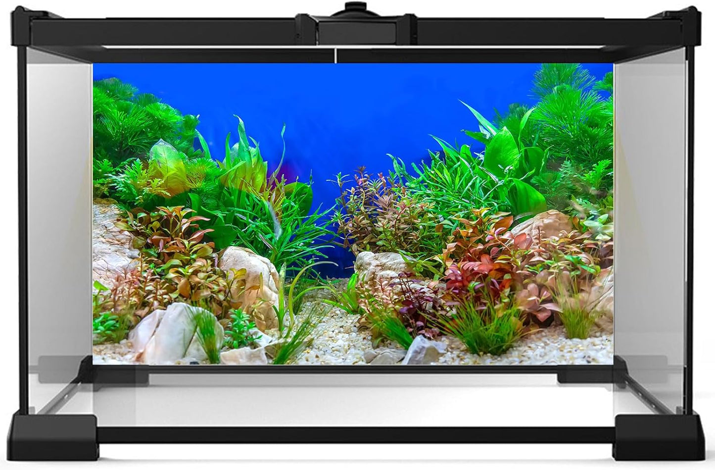Aquarium Background Green Aquatic Plant Stone River Bed and Lake Fish Tank Background Decor Underwater Grass Leaves with Pebble Aquarium Backdrop Perfect Fish Tank Decors Vinyl 36x20in