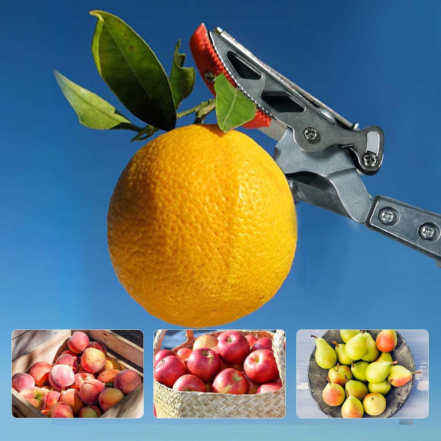 GARTOL Pruner for Garden, Cut Upto 1 Inch & Hold Telescopic Pole Pruner, Fruit Picker with Rotating Blade Head, Lightweight Aluminum Extendable Handle for Tree Branch Cutter, 7.87-13.78 FT, Silver