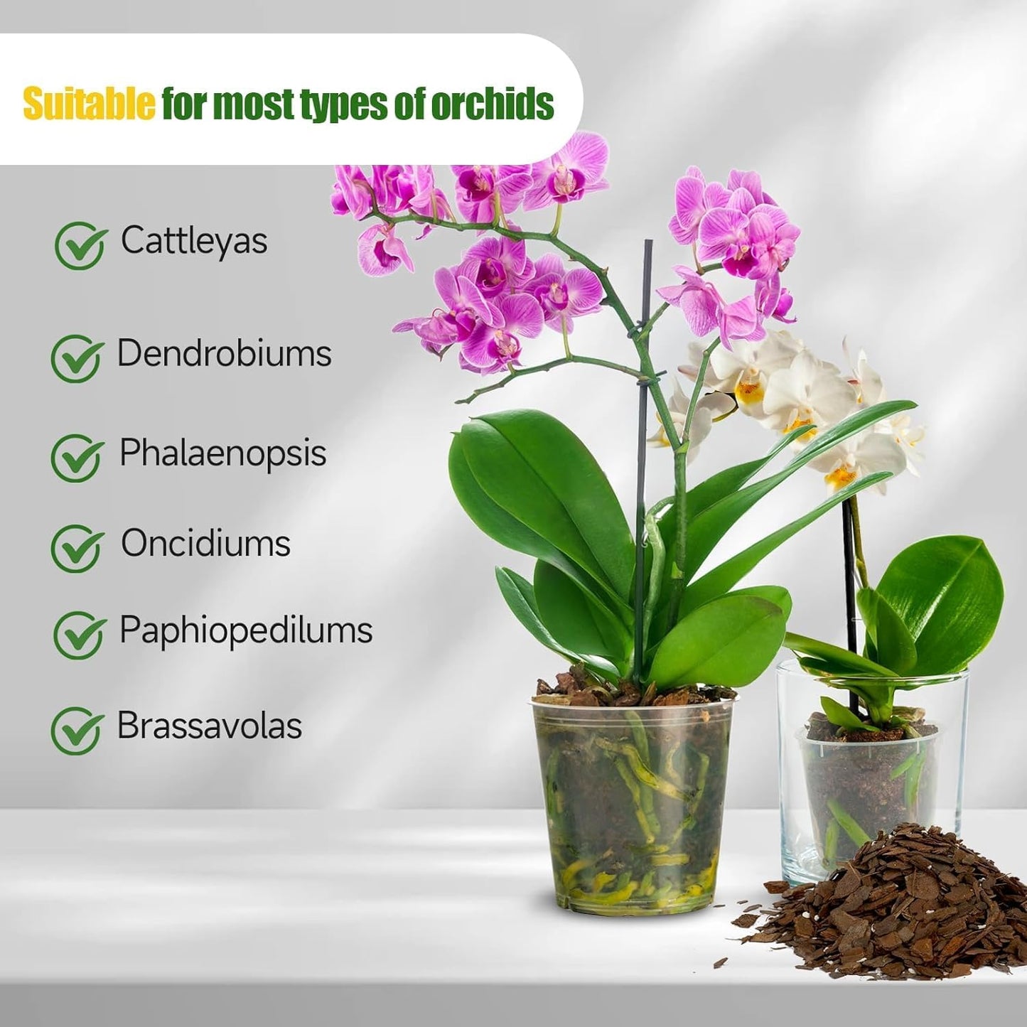 Organic Orchid Potting Mix 4qt, Mixture of Orchid Bark and Perlite, Specifically Formulated for Orchids
