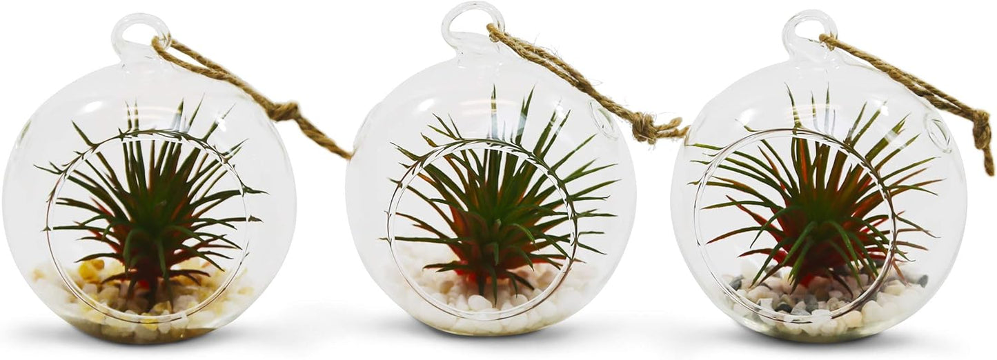 WGV Hanging Terrarium Globe, Width 2.5", Height 3", DIY Air Succulent Planter, Clear Glass Vase Orb with Flat Bottom, Candle Holder for Windowsill Outdoor Garden Decor, 12 Pieces Bulk