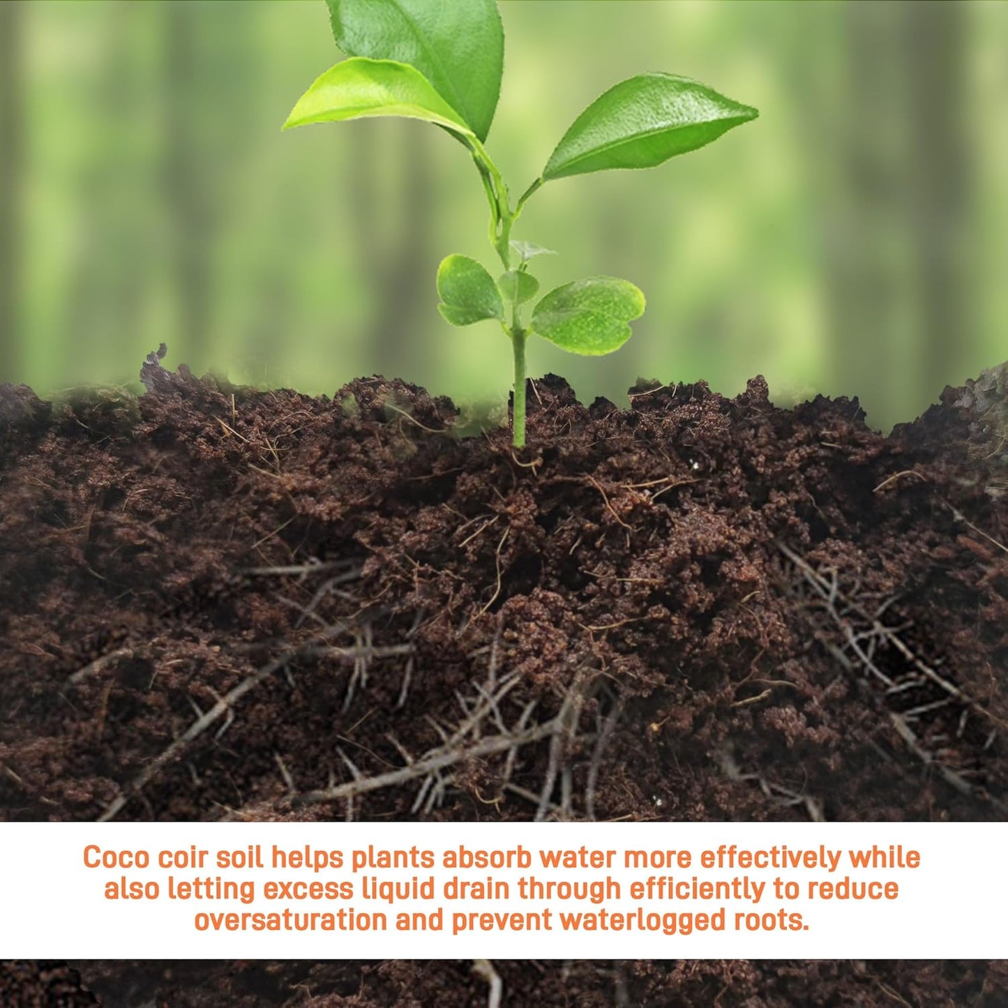 Premium Organic Coconut Coir Bricks - 6 Pack Coco Coir Bricks for Planting, Gardening, and Potting Soil Substrate. Low EC & pH Balanced 100% Organic Peat Moss Mix with Fiber from Coconut Husks