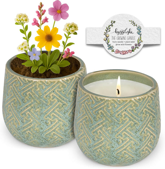 The Growing Candle, Wild Flower Scented, 10oz Ceramic Pot, Single Wick Aromatherapy Candles, 100% Soy for Women and Men, Ida