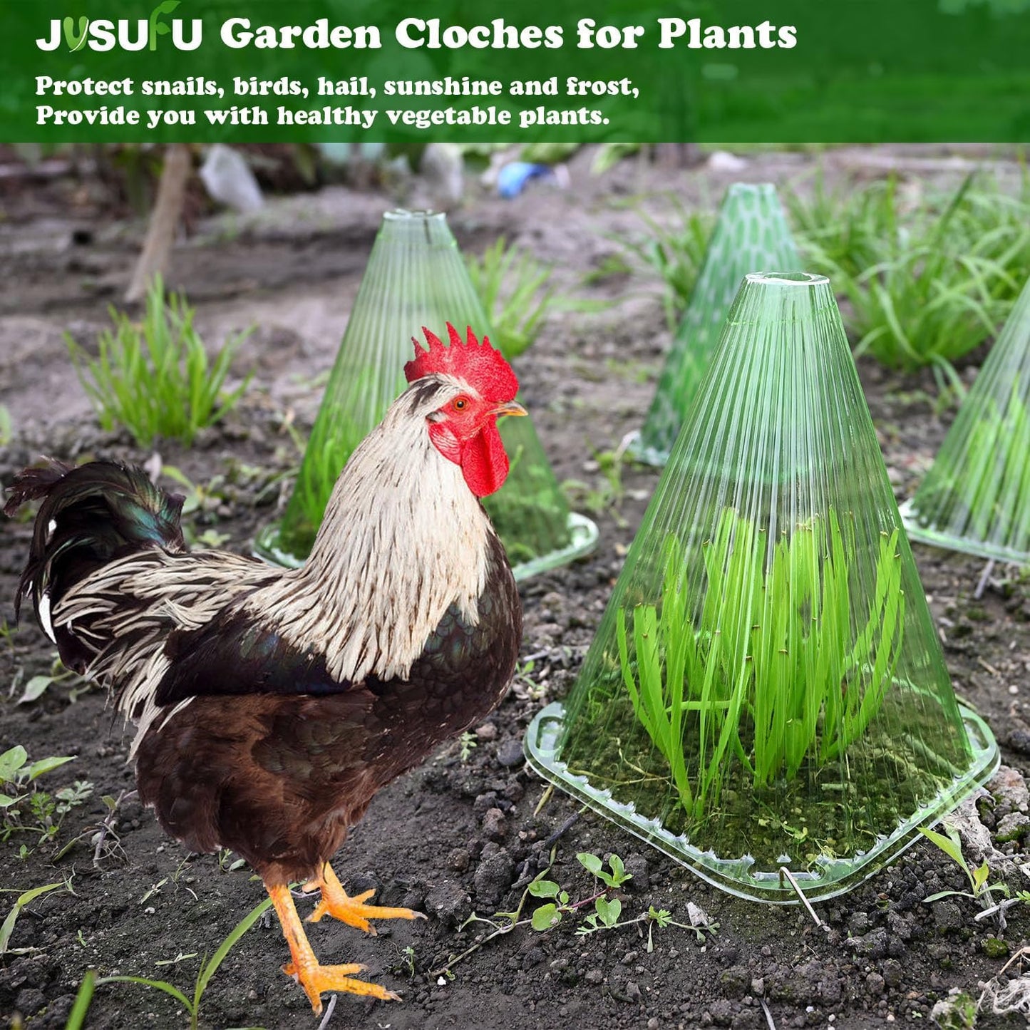 Garden Cloches for Plants,20 Pack Plant Covers Reusable Plant Bell Cover Protects Plants from Birds, Frost,Snails Etc.