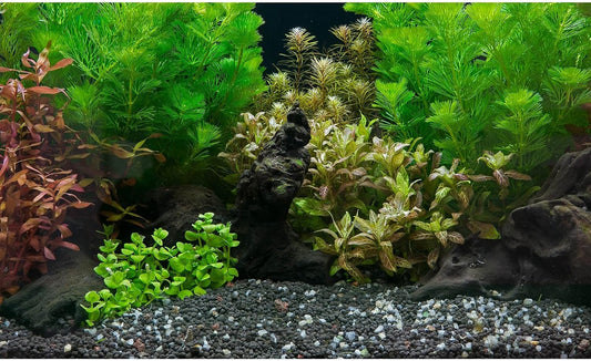 Aquarium Background Exquisite Underwater Grass Leaves with Pebbles Aquarium Backdrop Vivid Green Aquatic Plant Stone with Dead Woods and Fresh Leaves Tank Background Decors Vinyl 24x12in