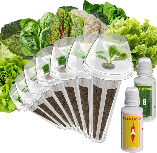 inbloom Salad Green Seed Pod Kit for Hydroponics Growing System, 7 Pods (350+ Seeds with American Fast/Paris Island/Buttercrunch Lettuce, Swiss Chard, Spinach, Cauliflower, and Wild Cabbage)