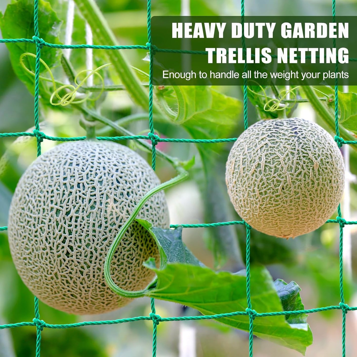 Trellis Netting, Garden Trellis Netting for Climbing Plants, 16.5x6.6Ft Plant Netting for Cucumber, Tomato, 27 Strands Nylon & 4x4 Inch Mesh, Grow Net for Vines, Fruits, Vegetables, Grapes, Beans,Peas