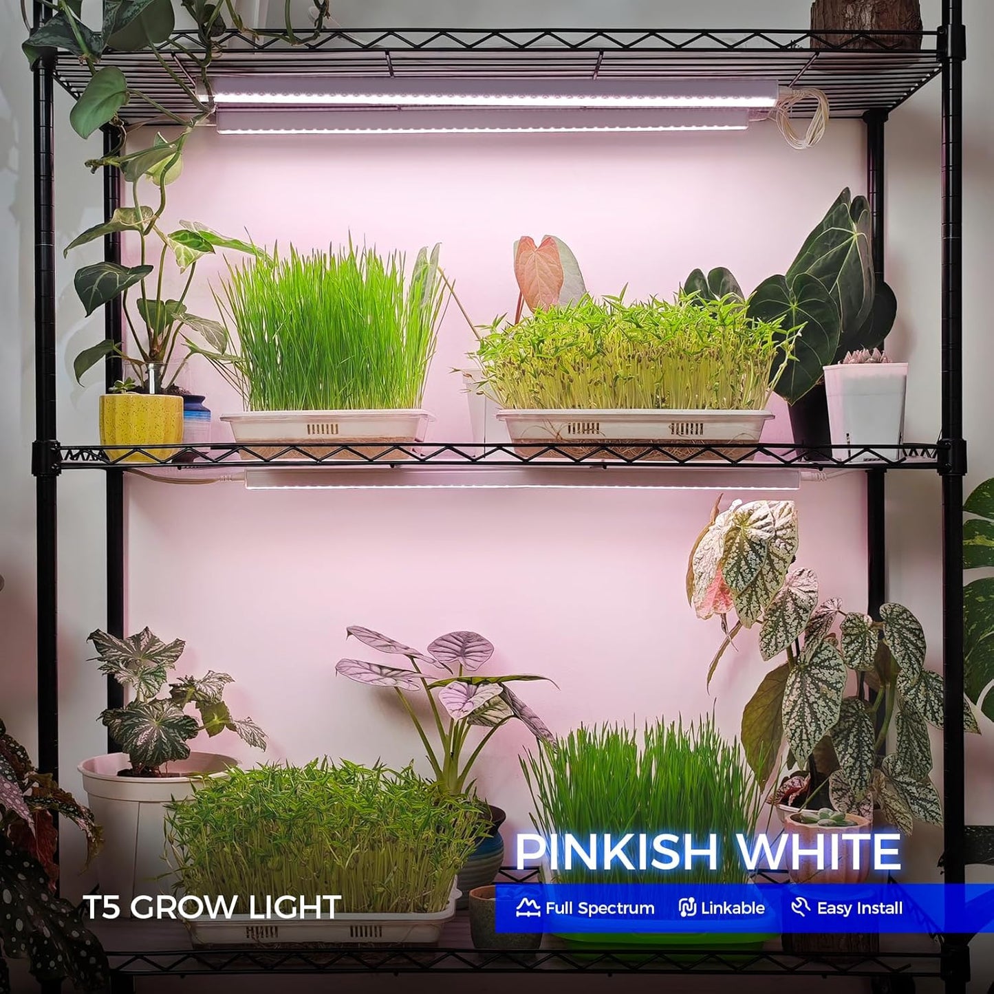 Barrina T5 Grow Lights for Indoor Plants, Full Spectrum LED Grow Light, 2FT 80W (8 x 10W), Plant Lamp for Indoor Growing, Seed Starting, Pinkish White, 8-Pack