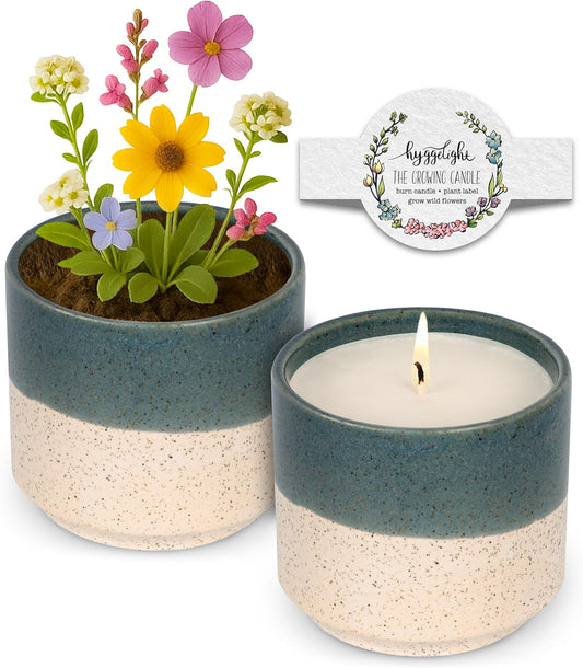 The Growing Candle, Coffee Scented, 8.5oz Ceramic Pot, Aromatherapy Candles, 100% Soy, Cream and Espresso Aroma for Home, Willow